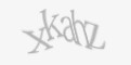 Защитный код